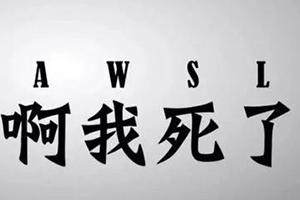 AWSL是什么梗 AWSL是什么意思