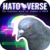 鸽宇宙Hatoverse