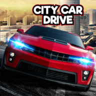 前进城市汽车司机Advance City Car Driver