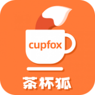 茶杯狐Cupfox