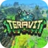 Teravit