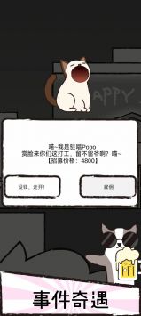 猫咪跳舞俱乐部1