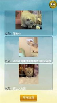 猫的一生重启模拟器2