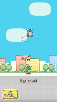 SwingCopters22