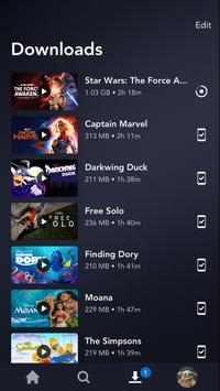 Disney+1