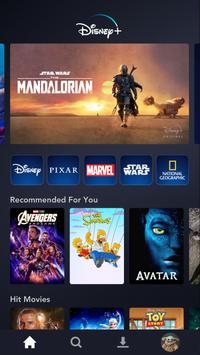 Disney+2