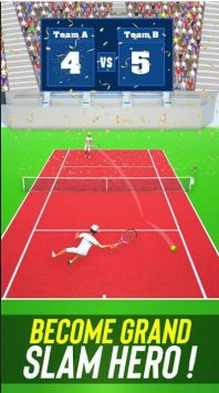 网球热3DTennis Fever 3D3