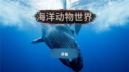 海洋动物世界游戏截图1