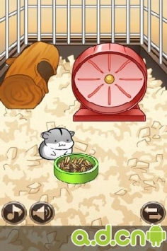 仓鼠的日常 Hamster Life v2.1.43